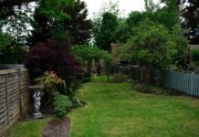 Jarná starostlivosť o trávnik: Jednoduchý postup, ktorý funguje trávnik