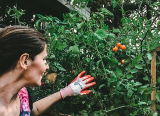 Vyvýšené záhony potrebujú reset. Začnite sezónu správne